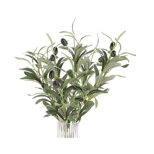 Pack faux olive - 5,