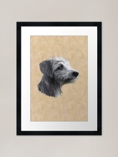Rough Coated Lurcher Framed