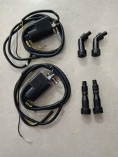 2x Ignition Coils Assembly For