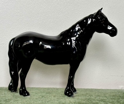Beswick fell pony dene - beswick, 'dene