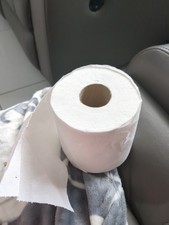 Quality Mini Jumbo Toilet Tissue Rolls 150 M 2 PLY 2,3 Core White Soft Paper