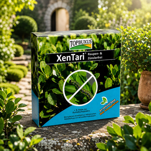 Topbuxus xentari box tree moth - box,