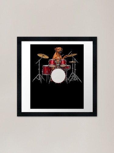 Rhodesian ridgeback playing - rhodesian,