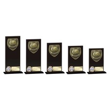 Cobra glass lawn bowls award - lawn,