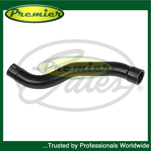 Premier lower hose - hose,