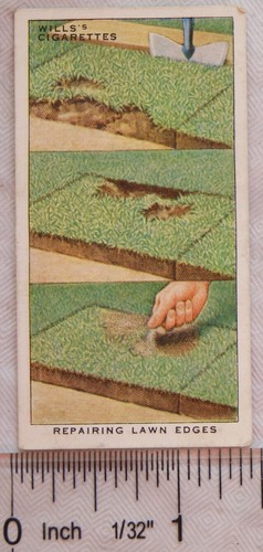1938 wills garden hints - wills,