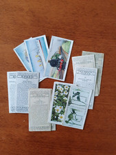 WD & HO WILLS CIGARETTE CARDS