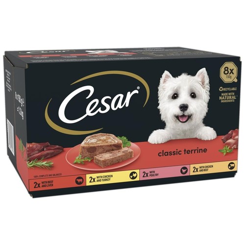 Cesar classicterrine dog - dog, food