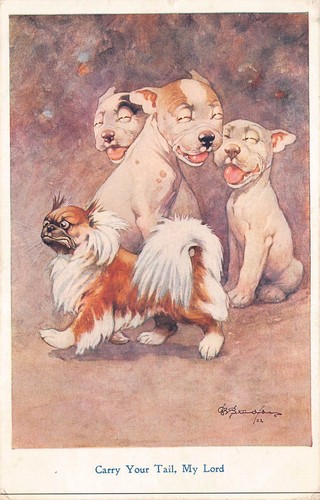 Bonzo carry your - your, my