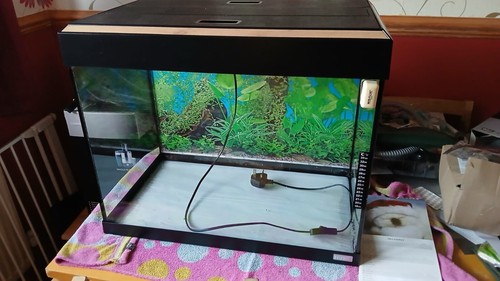 Litre fish tank - litre,