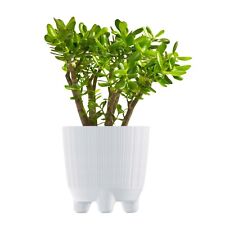 Plant Pots Indoor Outdoor