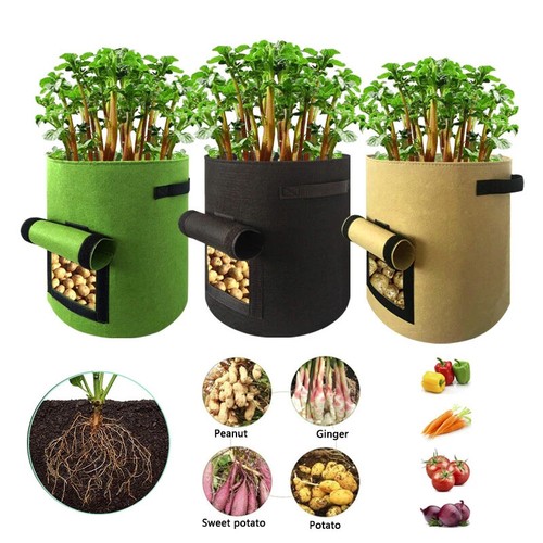 Gallon plant growing - 1/2/4x,