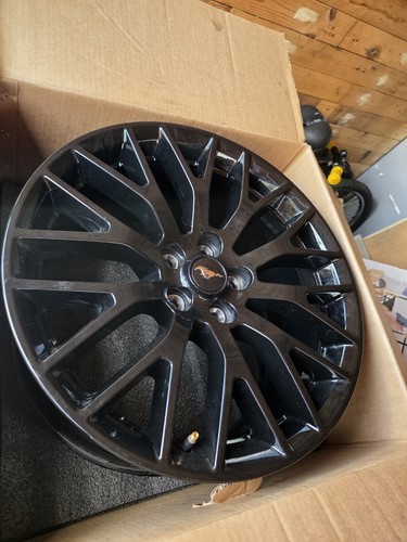 Ford mustang genuine - 19",