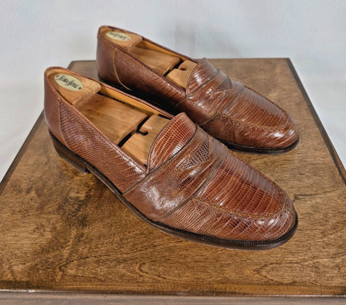 Magnanni exotic teju lizard - magnanni,