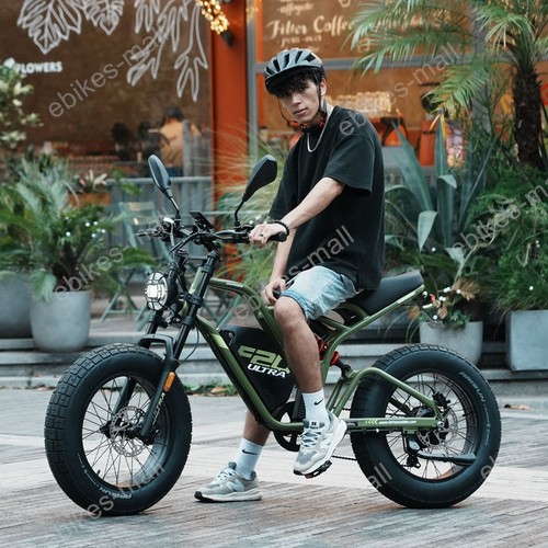 Fafrees electric bike 48v - bike,