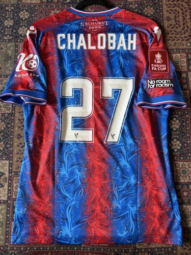 Crystal palace 2025 - fc, 2025/26