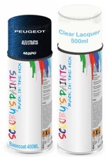 For Peugeot Spray Paint