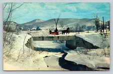 Red Horse Drawn Sleigh Ride