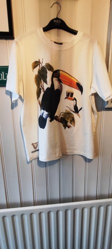 Guinness tucan logo - guinness, crew