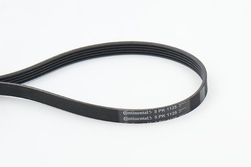 Continental ctam 5pk1125 - continental,