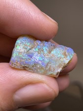 Belemnite 30.8 Carat Crystal