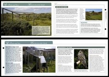Heligoland Trap - Birds & You - Birds Of Britain Atlas Editions Fold Out Card