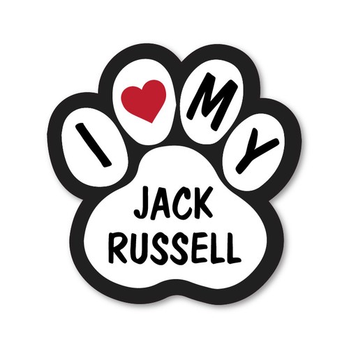 Love jack russell - jack,