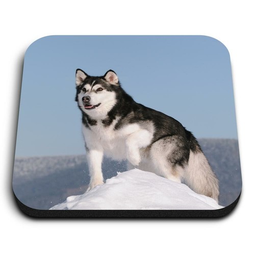 Square mdf magnets alaskan - magnets,