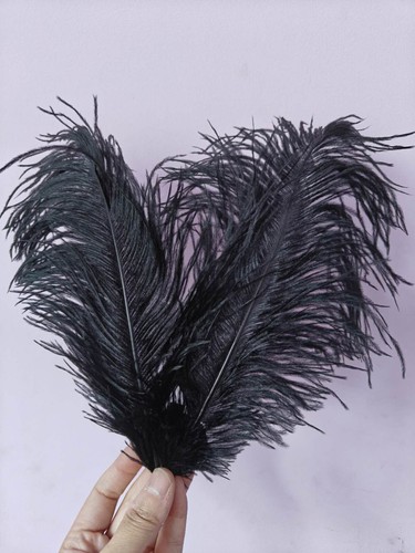 Black ostrich feather hair - ostrich,