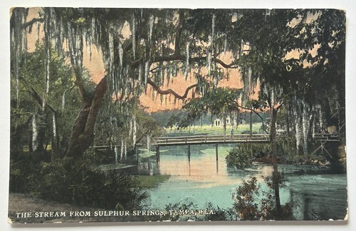 Postcard sulphur springs tampa - postcard,