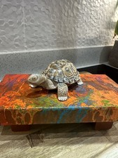 wade porcelain tortoise