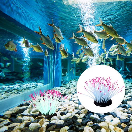 Aquarium decoration plants - aquarium,