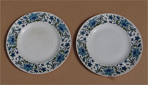 Midwinter spanish garden - spanish,