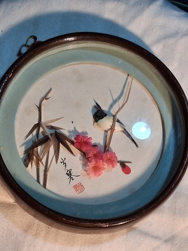 Real bird feather picture - feather,