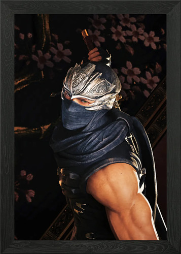 Ninja gaiden ryu hayabusa - gaiden,
