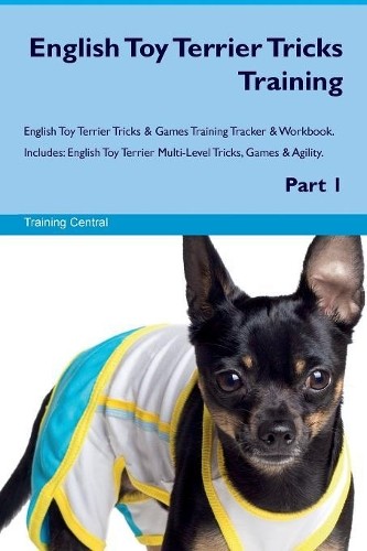 English toy terrier - english,