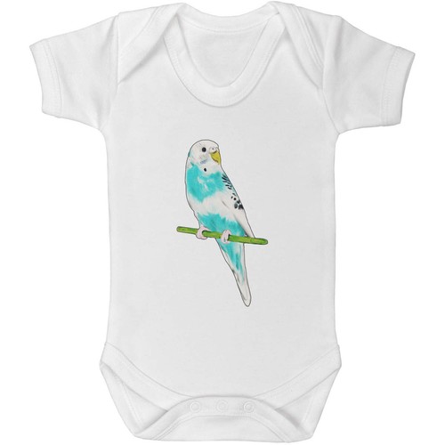 Blue budgie baby grows - 'blue,