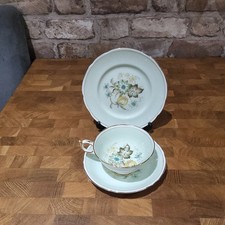 Vintage Paragon Handpainted