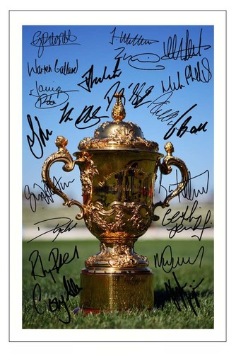 Wales world cup - cup, 2015