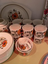 M & G Meakin England POPPY Dinner Service Set