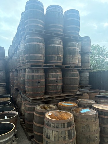 Oak whiskey bourbon barrels - oak, x
