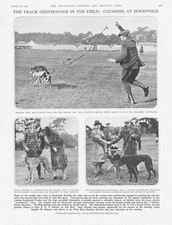 HOCKWOLD Norfolk Coursing