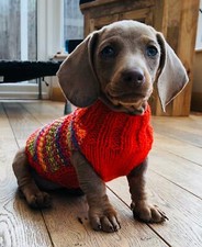 Hand knitted miniature - knitted,