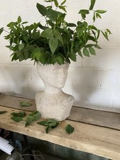 A Unusual Sculpture Of A Head