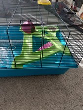 Large syrian hamster - hamster, cage