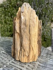 CHUNKY CHARACTER DRIFTWOOD