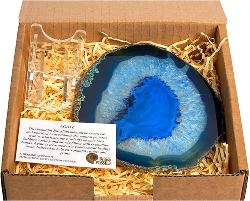 British fossils gift boxed - gift,