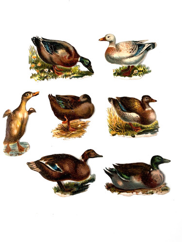 Victorian die cut - victorian,
