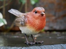 Realistic Robin Ornament –