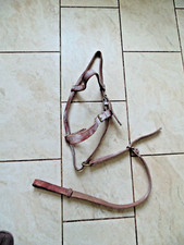 Strong buffalo hide halter cob / full